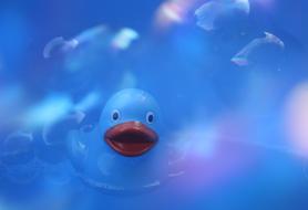 blue Duck Boy Baby