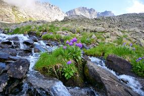 Nature Landscape nature view