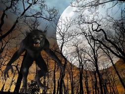 wolf full moon night black trees