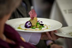 vegan dish on a plate