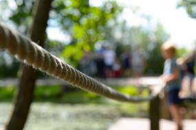 Boy, looking on the beautiful river, from the bridge with rope