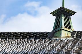 Tree Green Building roof