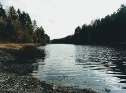 the river is gorgeous by the trees