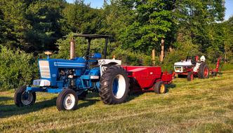 cars in a meadow landscape