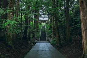 green park with stairs