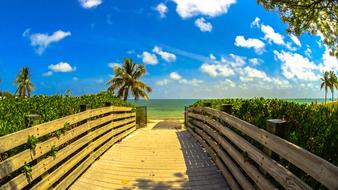 Beach Miami Landscape