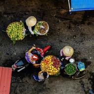 delicious fruits for sale man