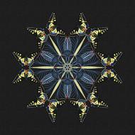 mandala butterfly concentration