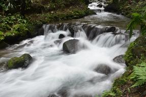 Stream Creek Water