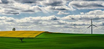 green meadow in the clouds