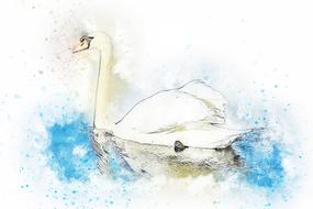swan water bird art abstract