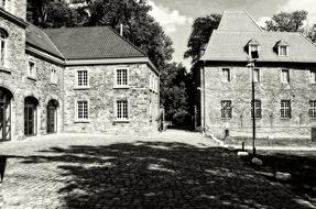 Nature Ruhr Baldeneysee