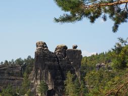 a large rock with trees