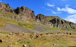 Eastern Black Sea Landscape