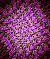 Flower Pattern Purple