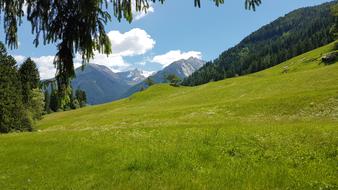 landscape of green grass and mountains