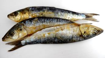 salted fish