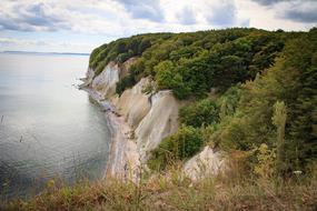 Rügen White Cliffs