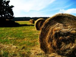 Farm Country Agriculture