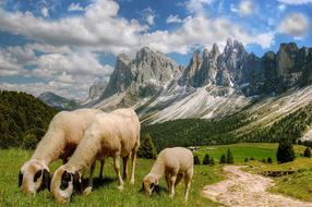 Dolomites Mountains South Tyrol