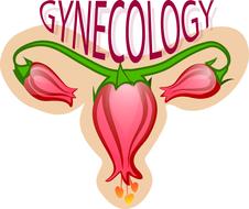 gynecology flower uterus ovaries