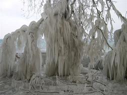 Cold Snow Winter
