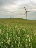 green meadow with an airy chalky landscape
