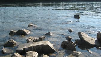 Rocks in the Danube river with the ripple, and reflections of the green plants, in Slovakia