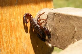 Alacran Nature Finlandia