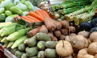 vegetable harvest at the market