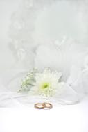 Wedding Rings Marry decoration