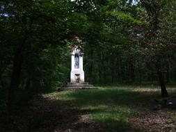 Chapel Forest Shadow