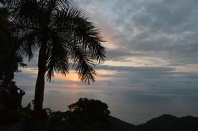 Costa Rica Sunset Beach Palm Trees