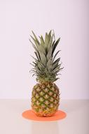 delicious fresh pineapple
