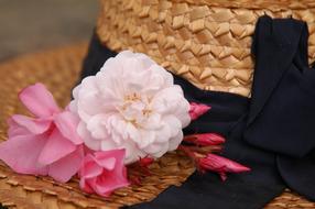 pink flowers on a woman hat