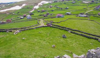 Highland Grassland Greens