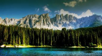 mountains with trees by the lake