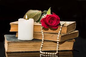 Old Books Rose Red