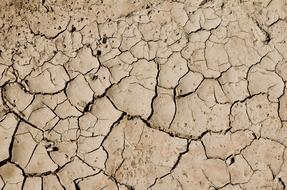Drought cracked Desert
