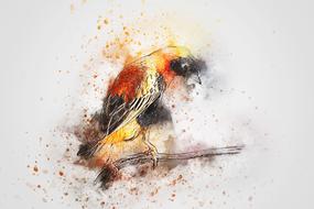 bird animal art abstract