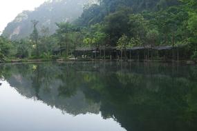 lake in the rainforest