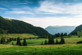 Mountain Highland Grassland