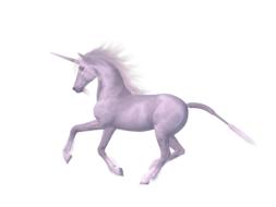unicorn horse fairy tales