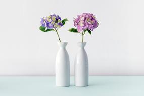 White Ceramic Vases