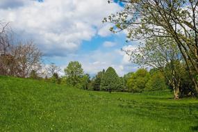 Landscape Field Nature