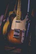 stored guitars