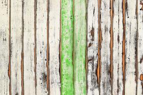 Close-up of the wooden boards in white and green paint