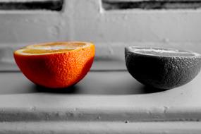 beautiful picture of oranges