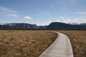 Newfoundland Pathway Landscape