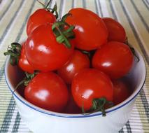 tasty tomatoes on a plate